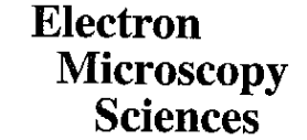 EMS