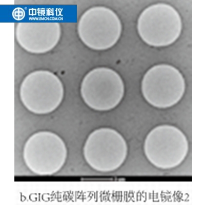 中镜科仪  GIG纯碳阵列微栅膜