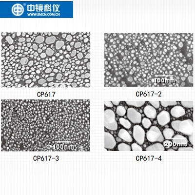 中镜科仪  PELCO®  碳基底金标样 扫描电镜标样