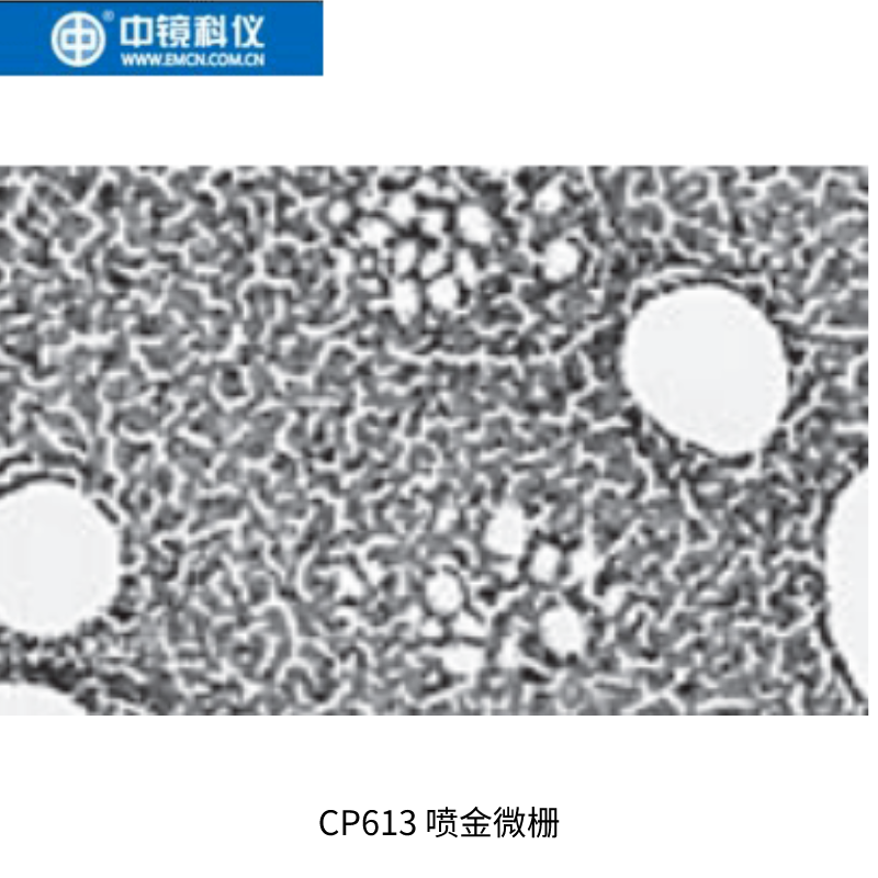 中镜科仪 喷金微栅标样 透射电镜标样