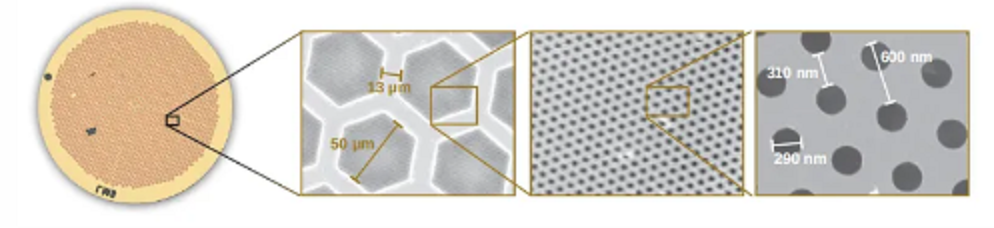 1730271019502889.png HexAuFoil.png